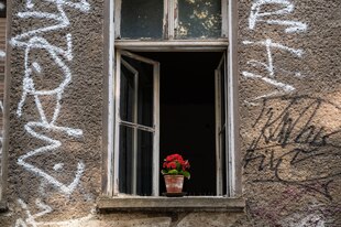 Ein offenes Fenster in einem unsanierten Haus Ein offenes Fenster in einem unsanierten Haus