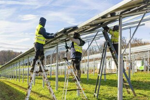 Drei Arbeiter stehen auf Leitern um Solarplatten auf einem Feld zu installieren Drei Arbeiter stehen auf Leitern um Solarplatten auf einem Feld zu installieren