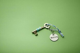 Ein Wohnungsschlüssel auf grünem Untergrund