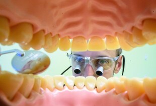 Zahnarzt schaut durch ein Gebiss