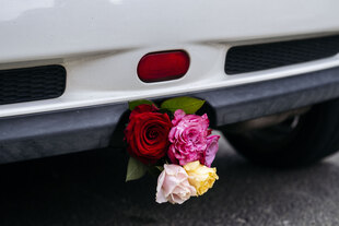 Blumen stecken im Auspuff eines Autos Blumen stecken im Auspuff eines Autos