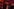 Bad Bunny in Frack und Fliege
