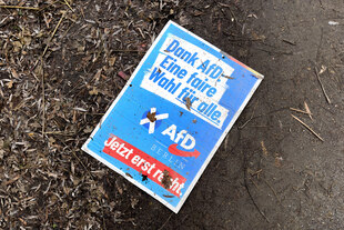 Das Bild zeigt ein auf dem Boden liegendes AfD-Plakat.