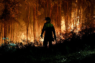 Ein Feuerwehrmann vor einem Waldbrand in Chile Ein Feuerwehrmann vor einem Waldbrand in Chile