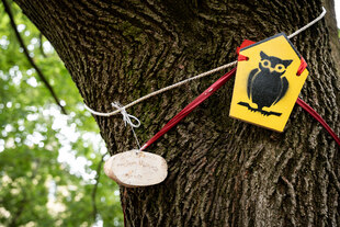 Ein abgesperrter Baum mit einem Naturschutz-Eulen-Schild.