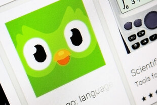 Duolingo-Eule auf dem Bildschirm Duolingo-Eule auf dem Bildschirm