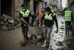 Männer in Warnwesten und eine Frau transportieren einen Hund in einem Einkaufswagen durch die verschlammten Straßen von Valencia