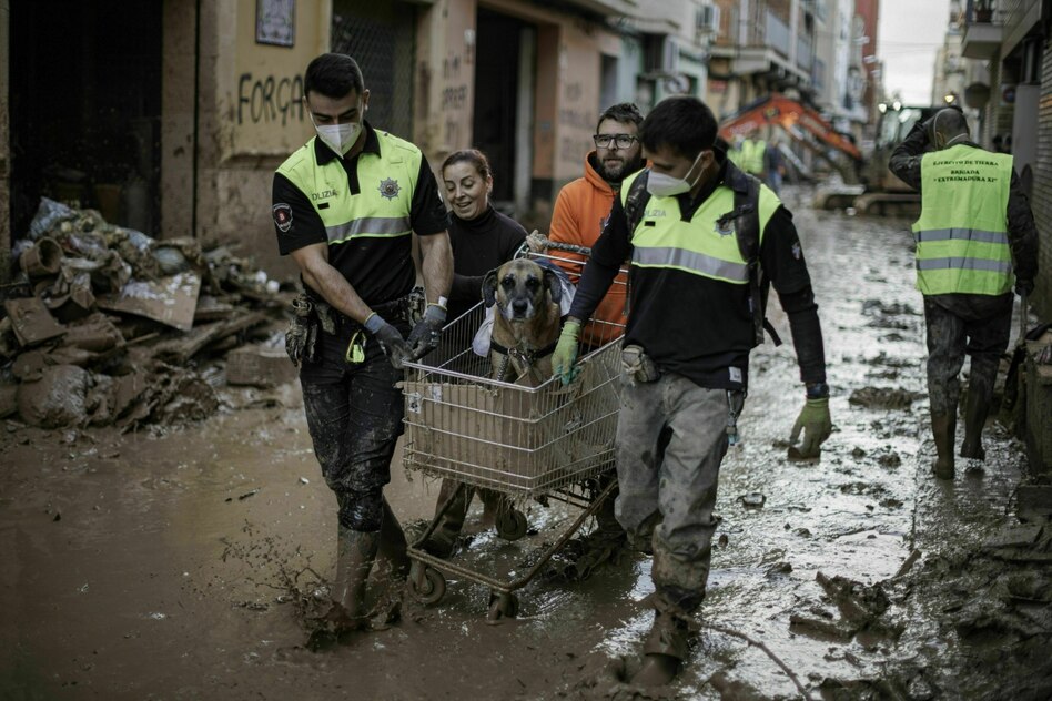 Extremwetter in Valencia: Menschengemachter Klimawandel schuld an Flutkatastrophe
