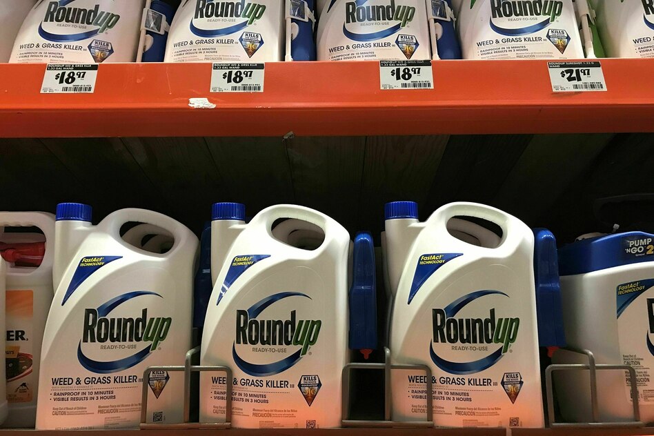 Pestizid unter Krebsverdacht: Glyphosat-Klägeranwälte knicken wegen Trump ein