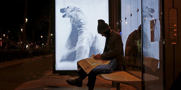 In einer Bushaltestelle hängt ein Poster mit einem Eisbären, daneben sitzt ein Mann