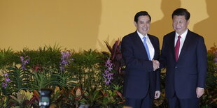 Xi Jinping und Ma Ying-Jeou