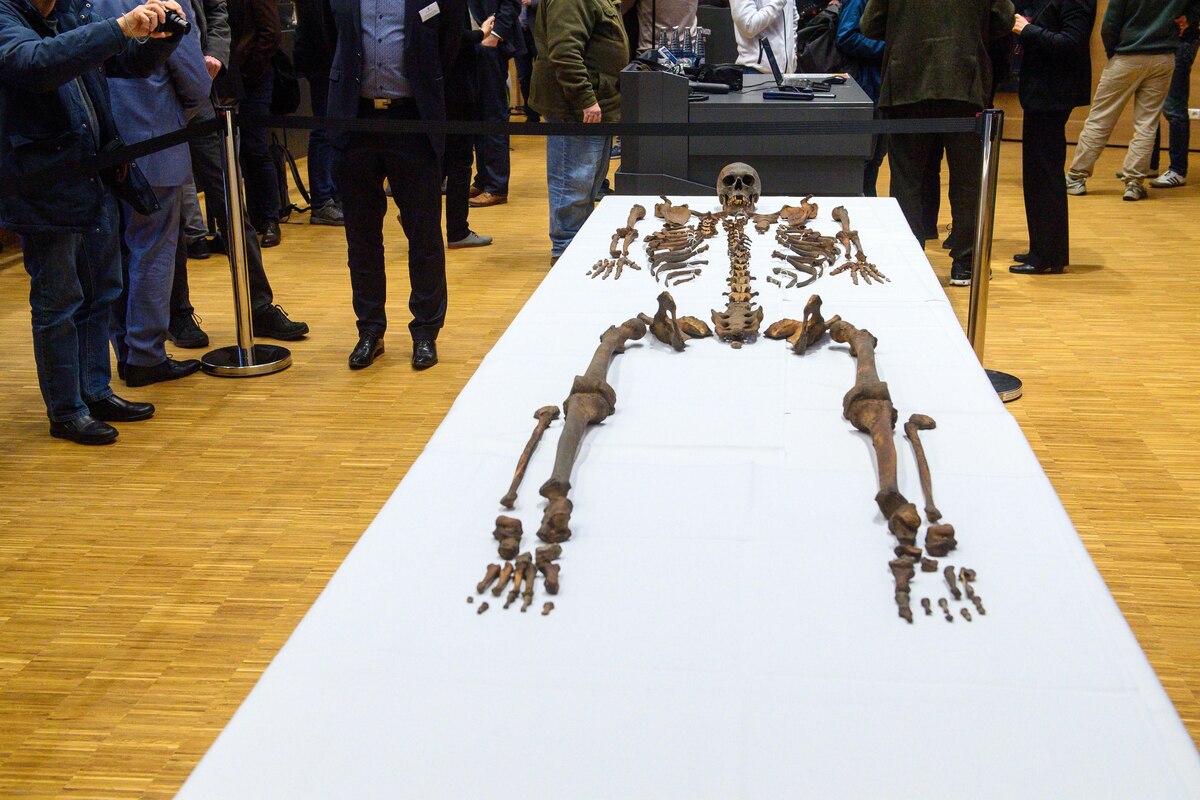 Neue Untersuchungen im Magdeburger Dom: Otto der Große war wirklich groß