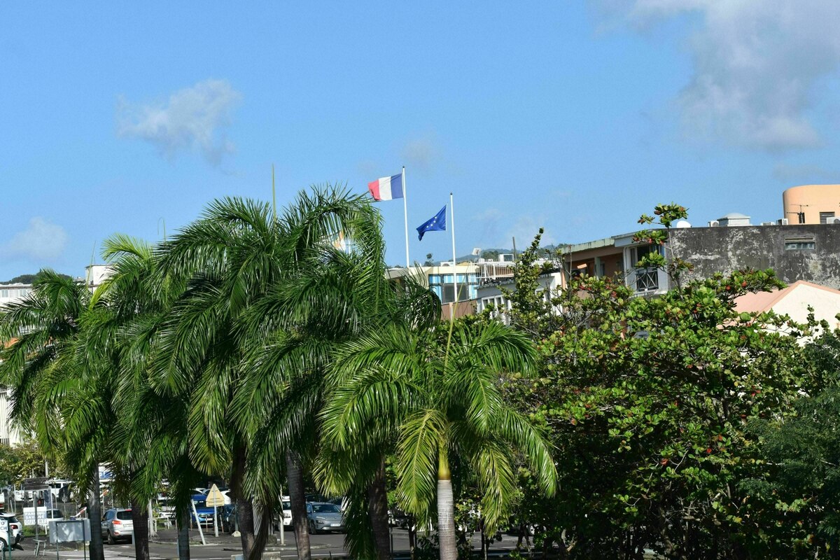 Local elections in Martinique: