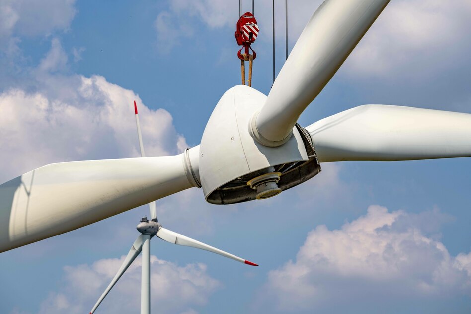 Kritik an Reiches Energiereformen: Ökostrom-Branche greift Regierung an