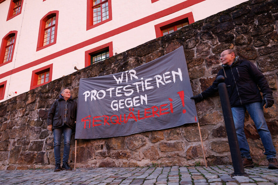 Prozess um Horror-Schlachthof: Noch mal davongekommen
