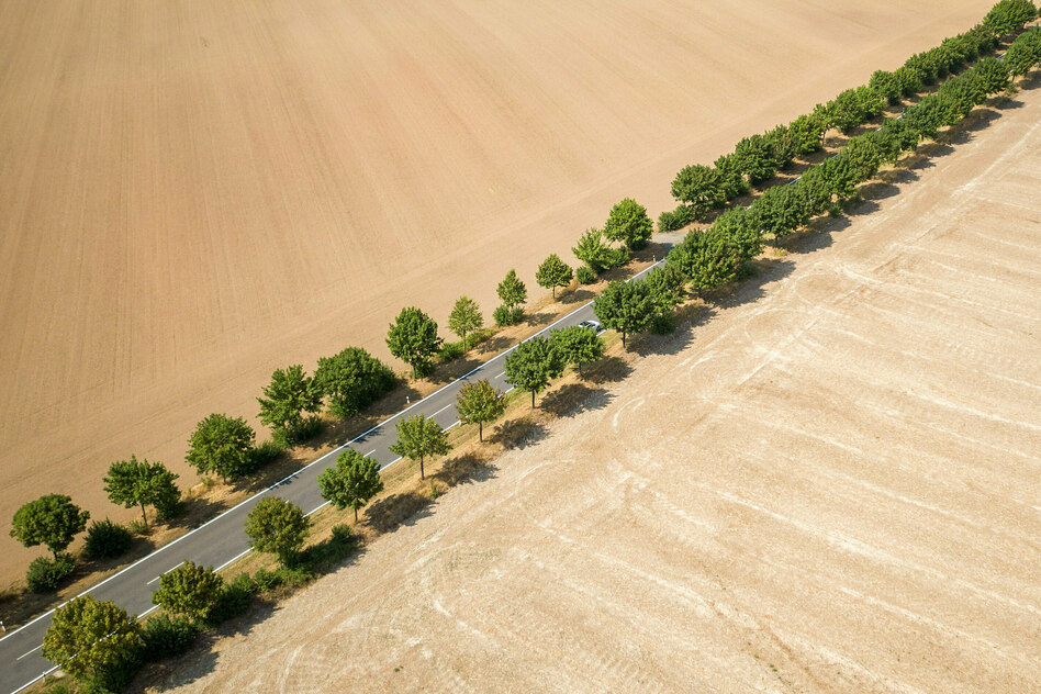 Wetterbilanz 2025: Glück im großen Unglück
