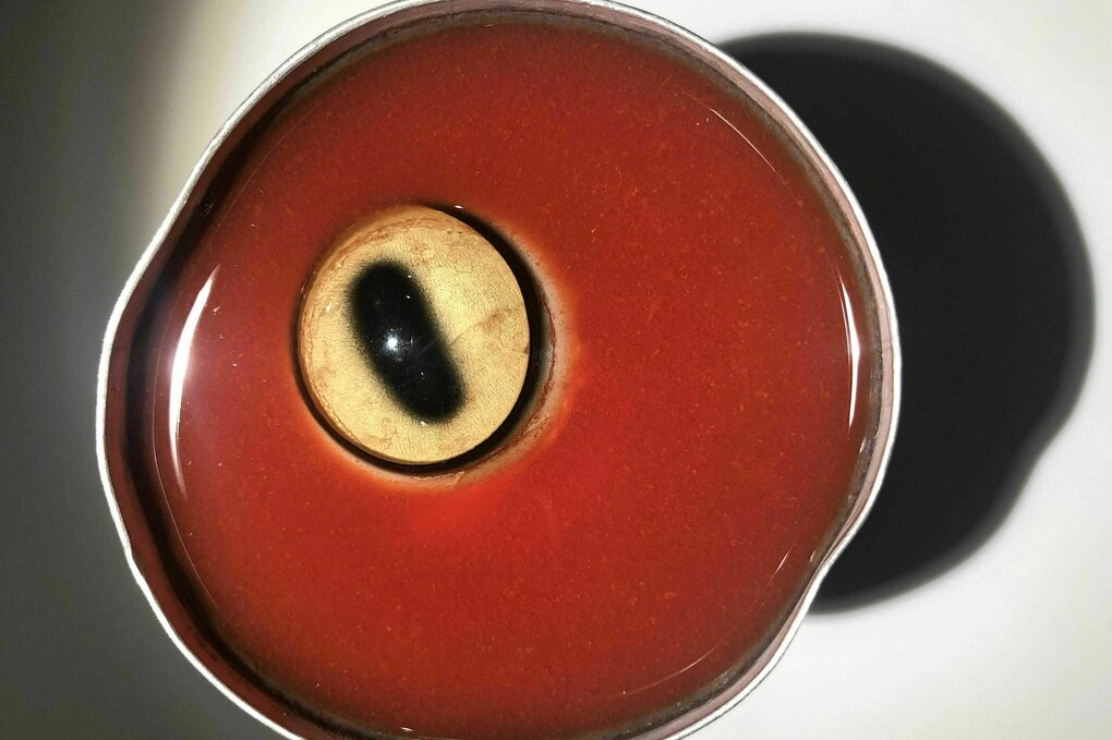 Eine Suppe mit einem Ziegenauge