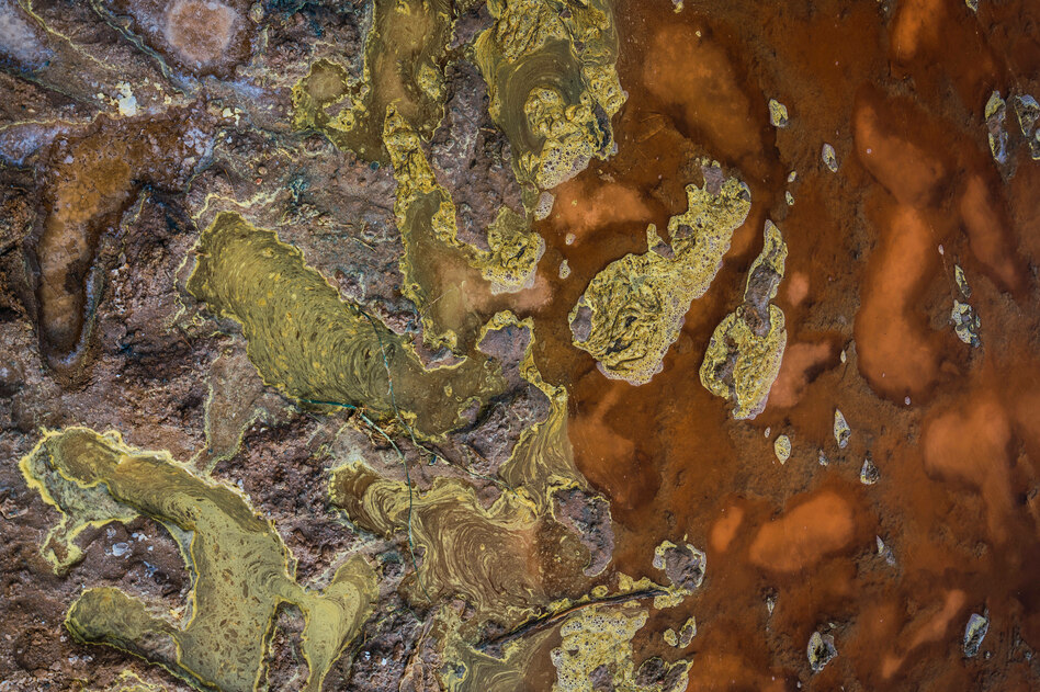 KI-Schlamm im Netz: Wenn Jesus als Shrimp das Internet verstopft