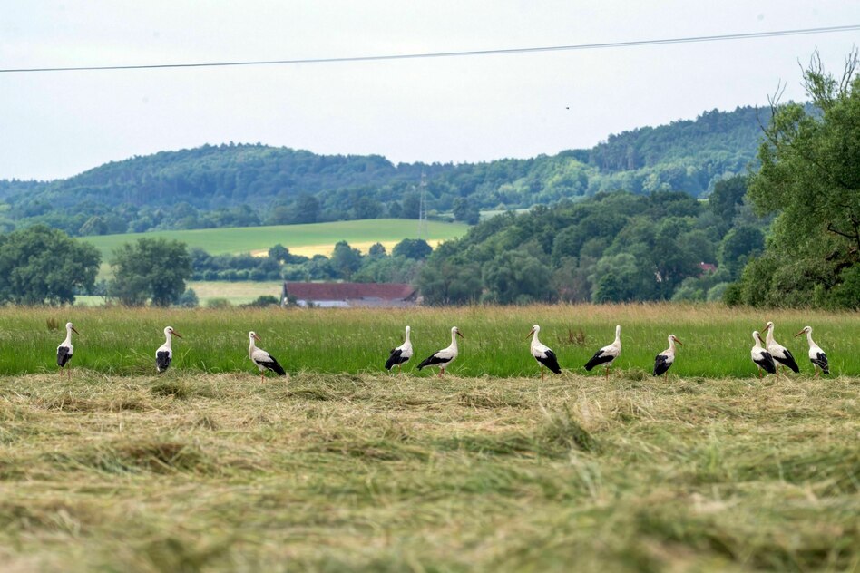 Böden als natürliche Klimaanlage