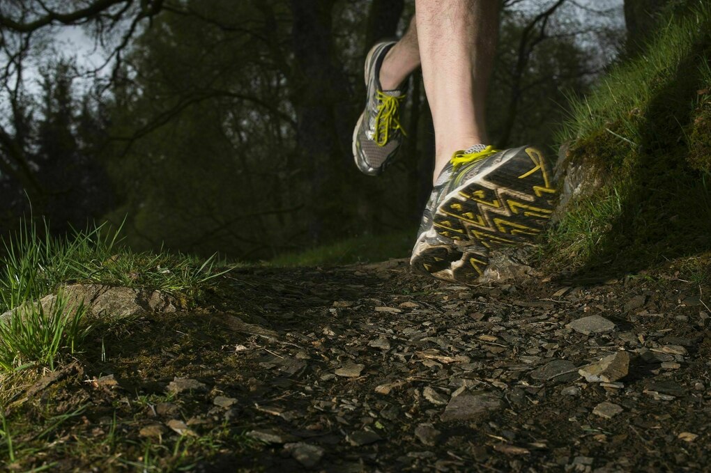 Jemand läuft mit Joggingschuhen durch den Wald