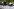 Polizist:innen an einer Unfallstelle