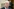 Ein Mann mit Brille schaut skeptisch