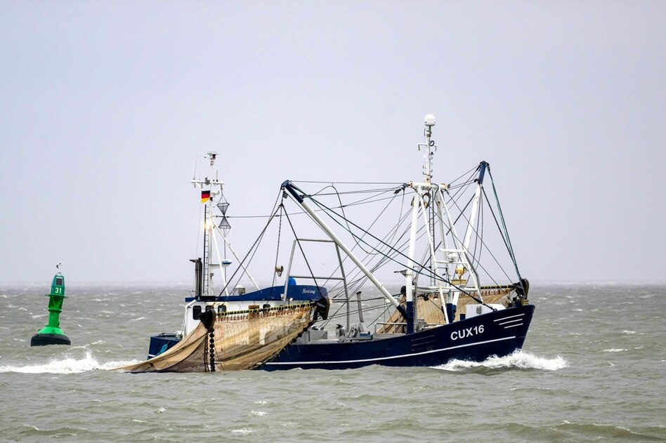 Dokumentartheater über Krabbenfischerei: Sie kämpfen für den Kaviar der Nordsee