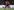 Pavlović hält den strauchelnden Gegenspieler