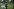 Aldous Harding trägt einen dampfenden Blecheimer durch einen üppigen Garten