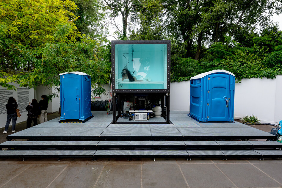 Östereichisches Pavillon an der Biennale: Aller Dreck wird systematisch geklärt