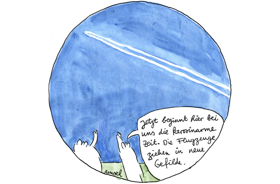 Die Wahrheit: Kerosin im Blut, Energie auf Kurs