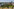Panorama von Magdeburg mit Dom und Elbe