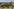 Panorama von Magdeburg mit Dom und Elbe