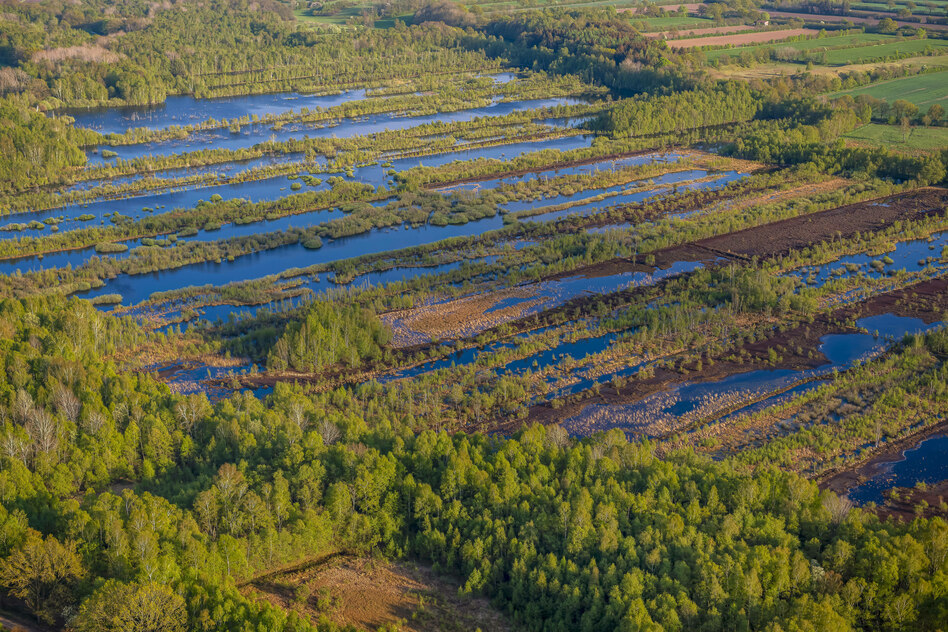 Moor- und Klimaschutz: Mindestens acht Milliarden Euro sind nötig