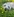 Ein Hund auf einer Wiese