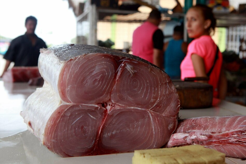 Bericht über Fischfangaktivitäten: Alles eine Frage der Flagge