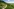 Ein Panoramafoto zeigt Weinberge in Franken, dahinter blauer Himmel