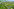 Der Fluss 
