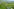 Der Fluss 