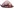 Blobfisch