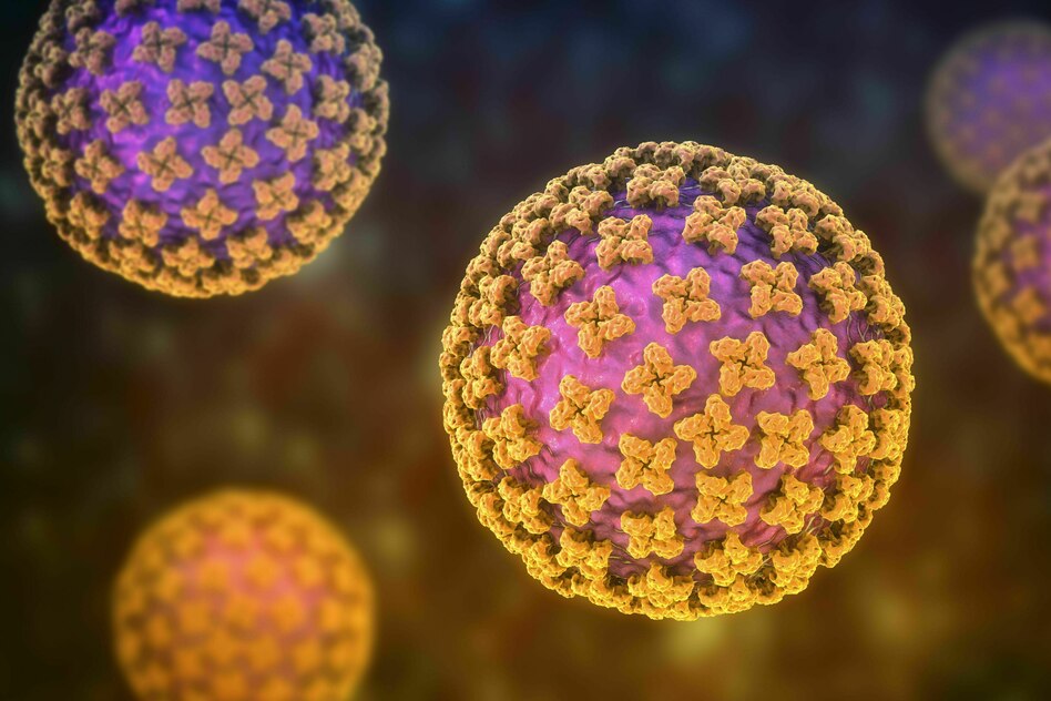 Hantavirus und Corona: War da was?