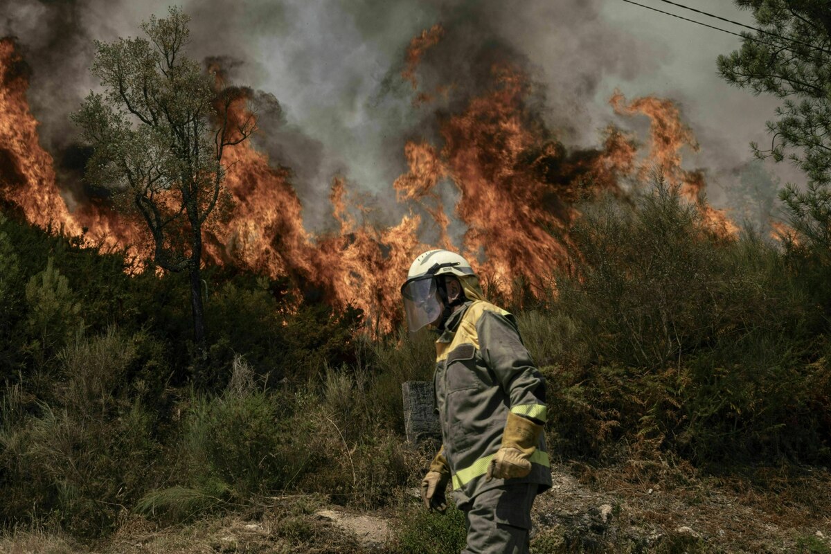 Förster über Waldbrände in Spanien: „Als ob wir Benzinfässer aufgestellt hätten“