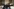 Rentner Manfred Liebel und Yağmur Aktan (35) im Wohnzimmer ihrer Generationen-WG