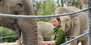 Ein Frau geht zwischen Elefanten in einem Gehege