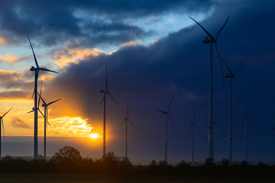 Windkraft-Ausbau in Schleswig-Holstein: Nabu kritisiert „Goldgräberstimmung“