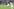 Zwei koreanische Fußballspielerinnen kämpfen bei strömenden Regen um den Ball