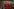 Harry Kane hält ein rotes Banner in die Kamera