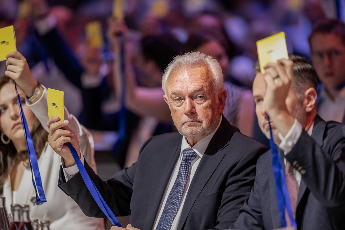 FDP Federal Party Conference: Kubicki elected new FDP leader by a ...