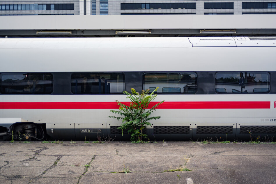Erlebnisreisen mit der DB: Die XXL-Jubiliäumsfahrt der Bahn