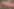 Die Installation von Anahita Razmi zeigt ein rosa Tuch auf dem Boden mit persischem Schriftzug